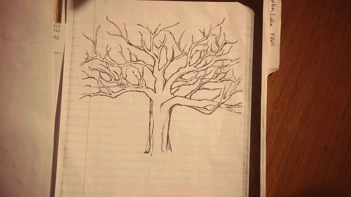 tree by Lydia Martin(árvore de Lydia Martin)