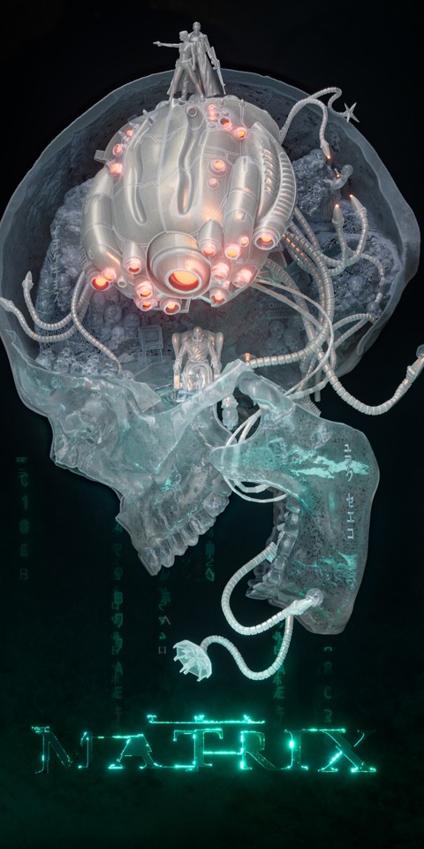 cnidaria, Octopus桌布