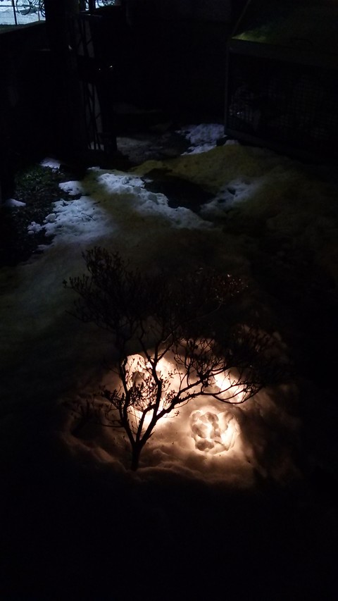 雪