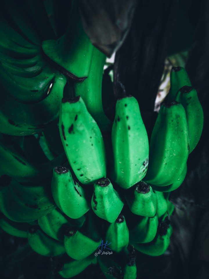Banana