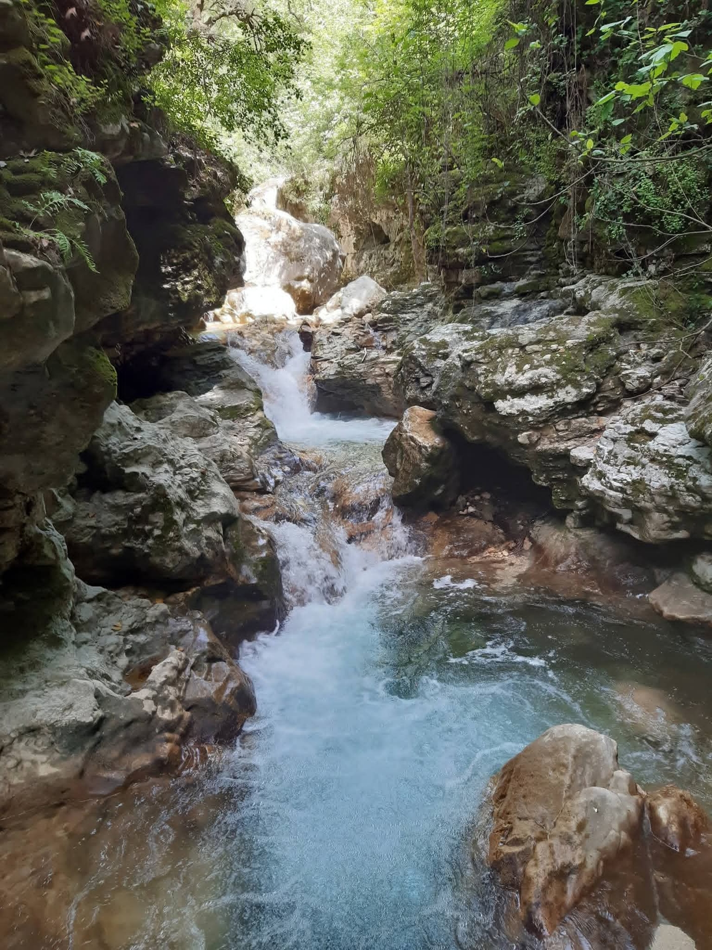 tapety stream, watercourse