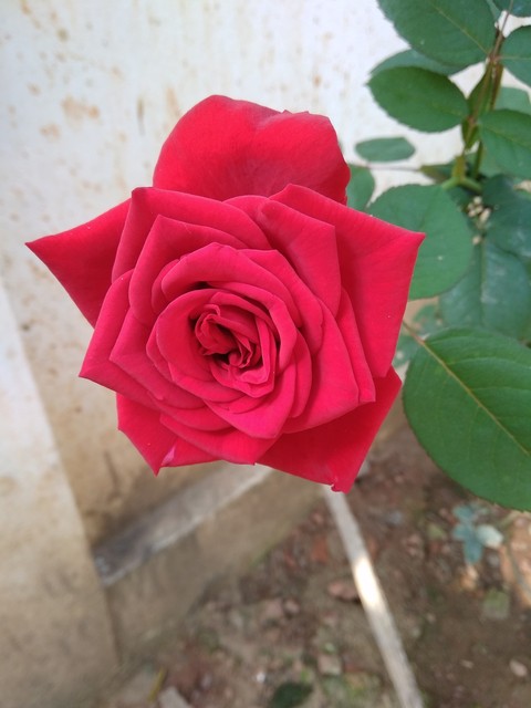 i like it