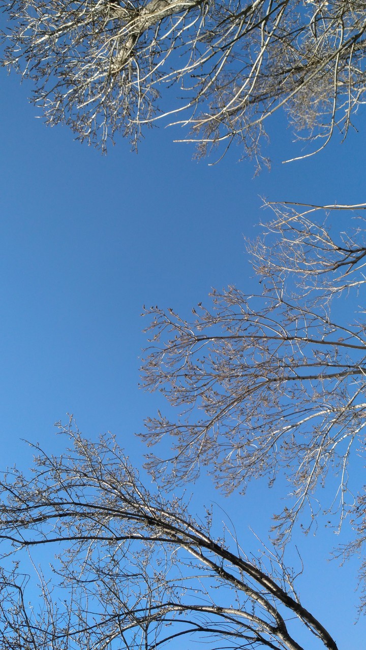 just before the spring begins
