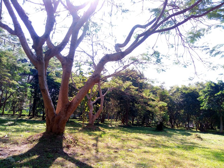 Breath~