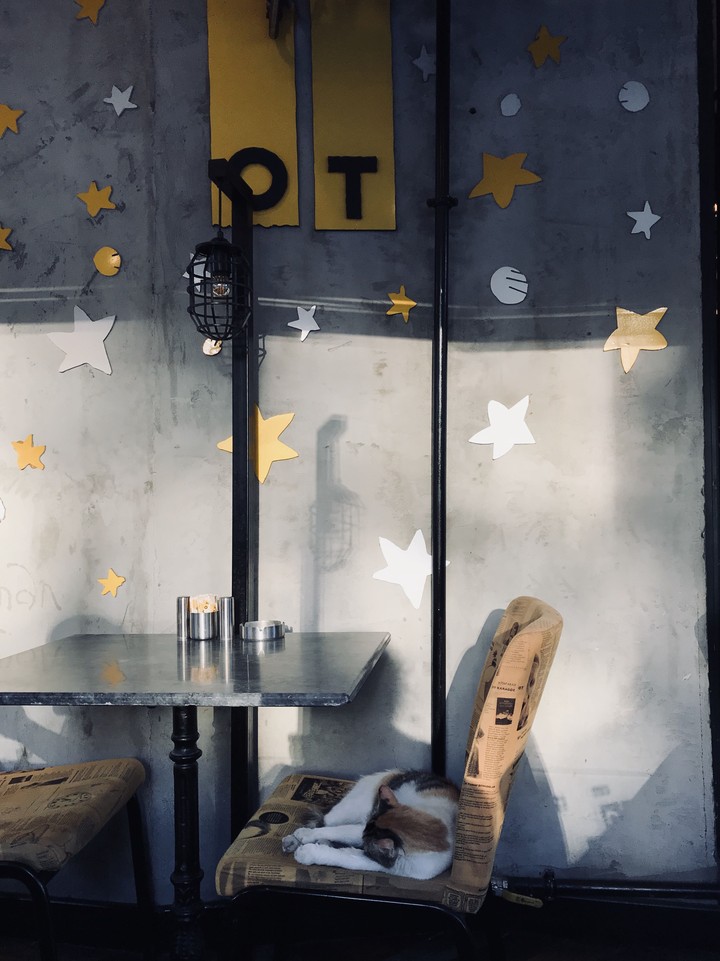 Cafe And A Cat
