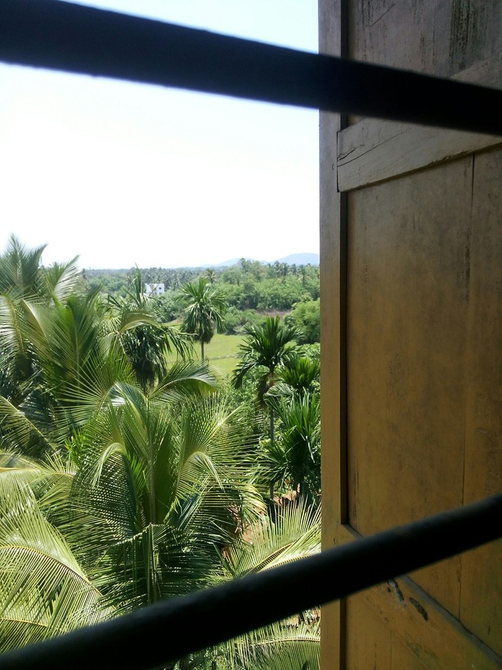 Palakkad
