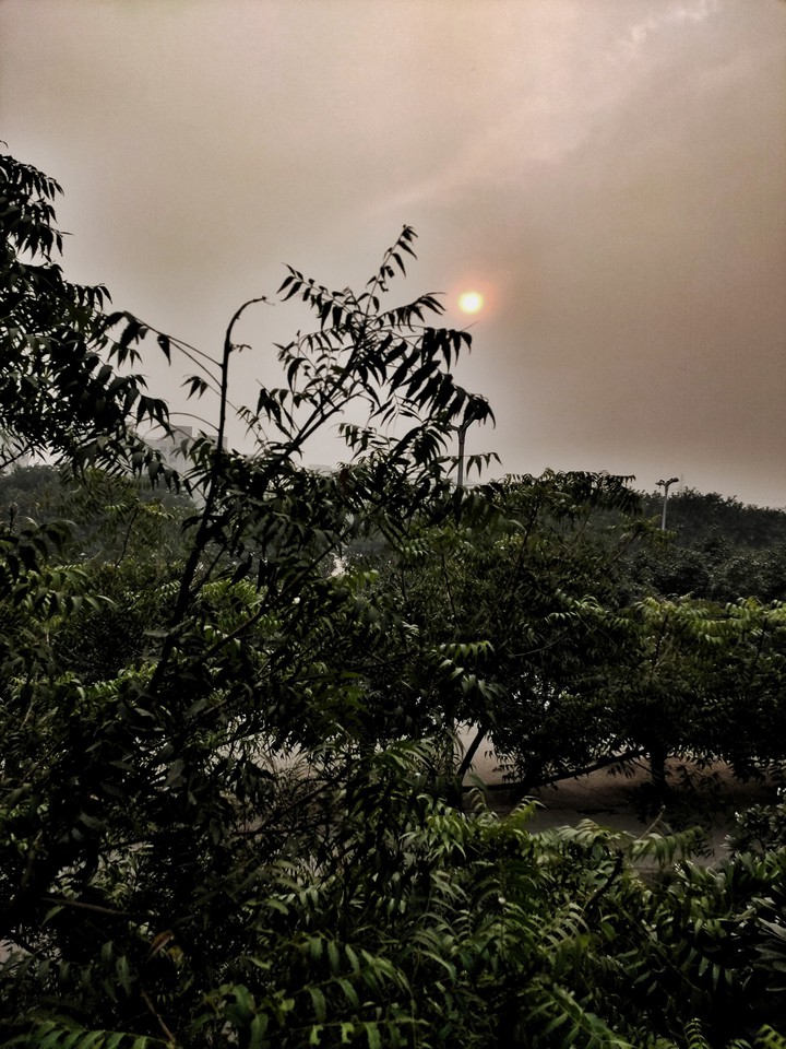 sunset