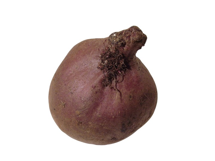 음식이미지
