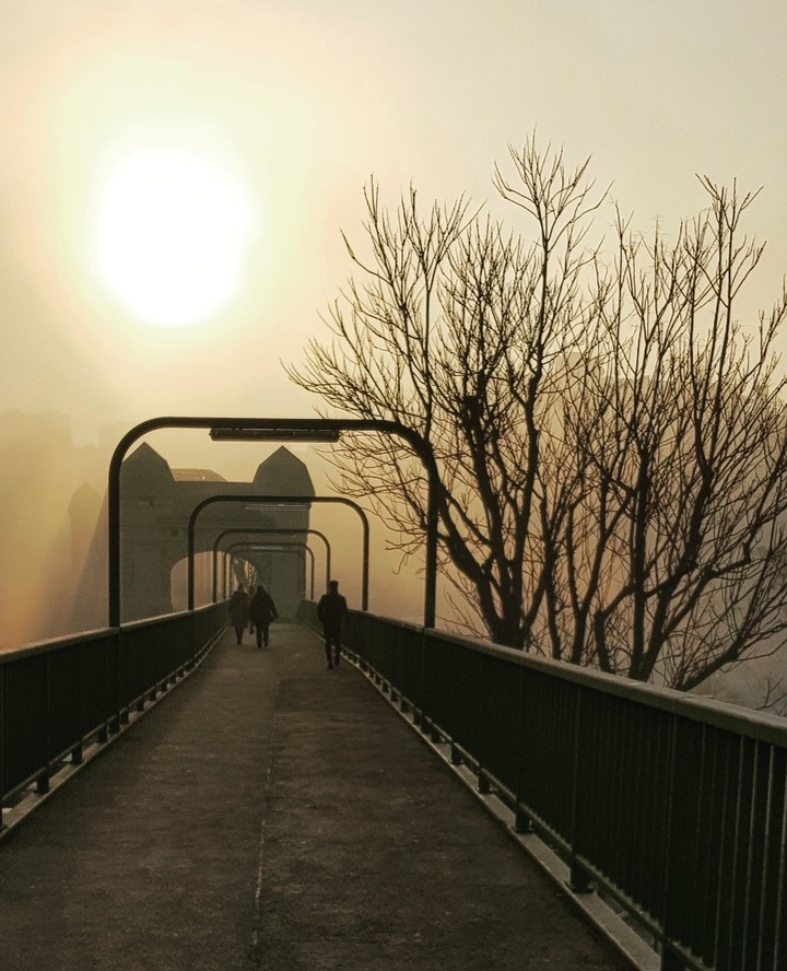 Fog
