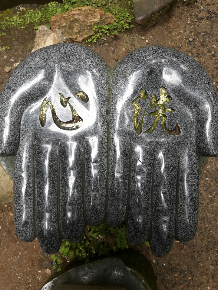 心洗