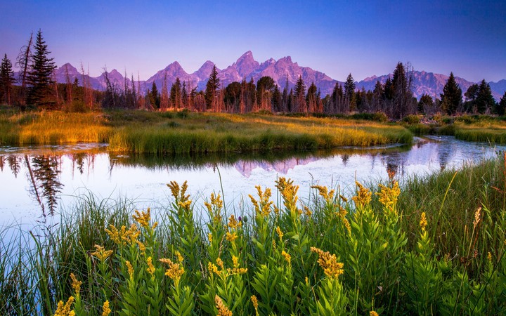NATURE