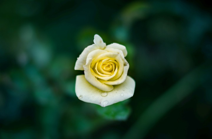 Like and share for more this types of photos. In 4K
