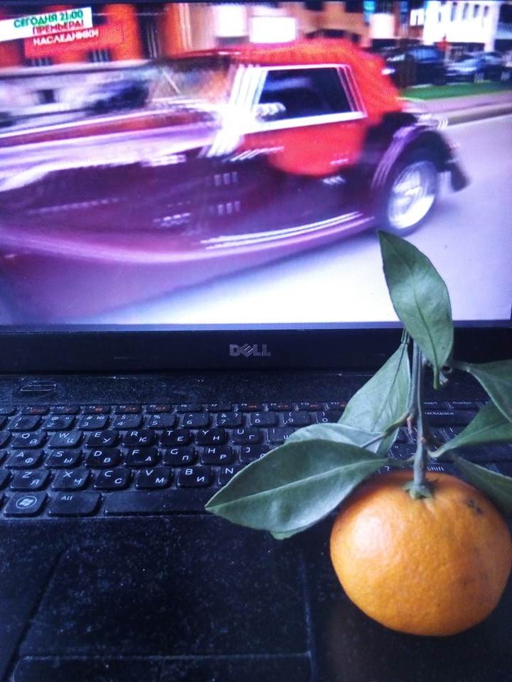 fruit