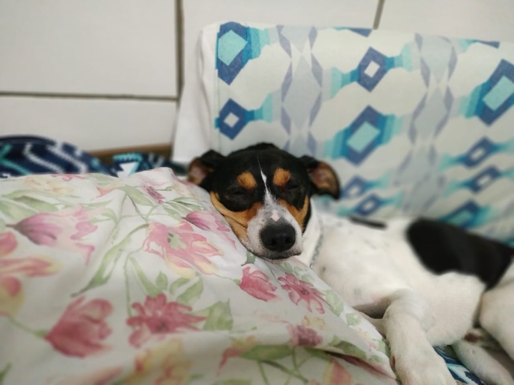 Sleeping well