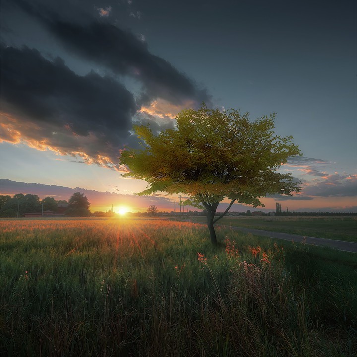 nature
