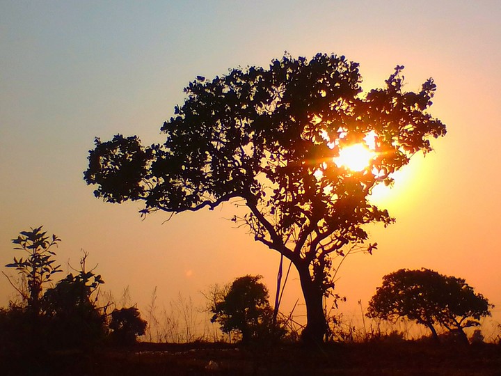 Nature