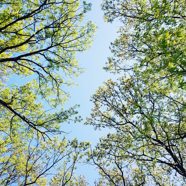 sky