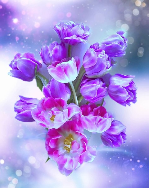 For you ❤️ Gabriel