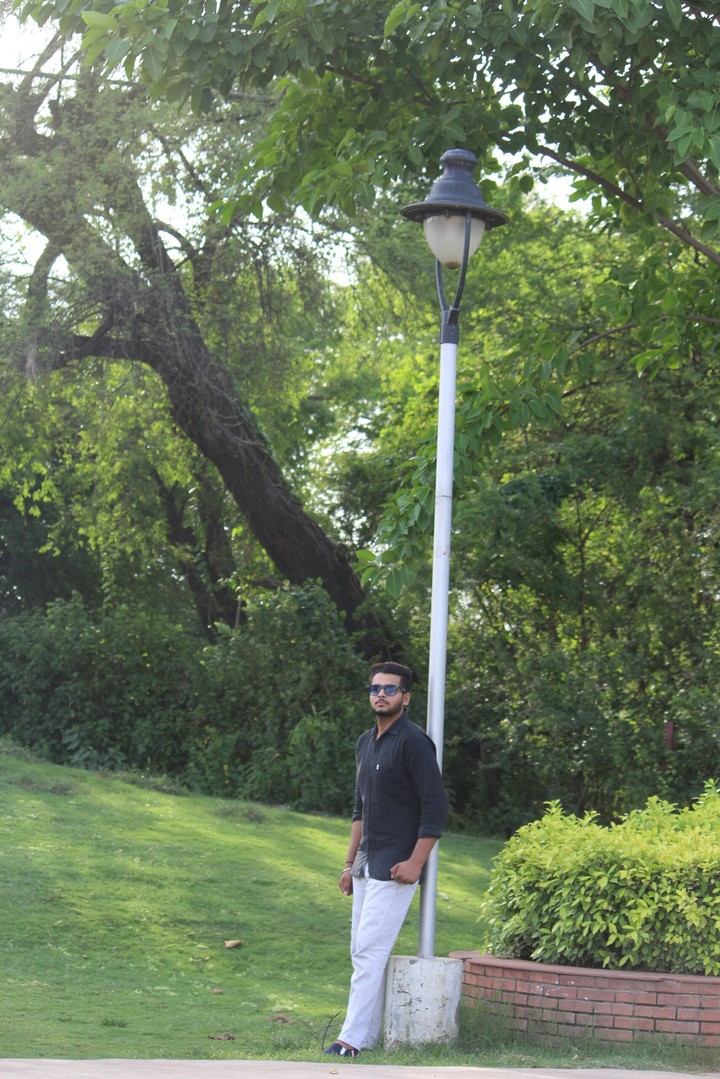 Nature + model