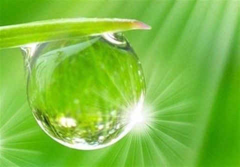Glass, solvent桌布