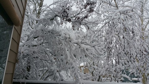 Winter 2017