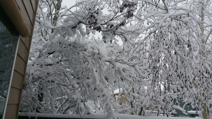 Winter 2017