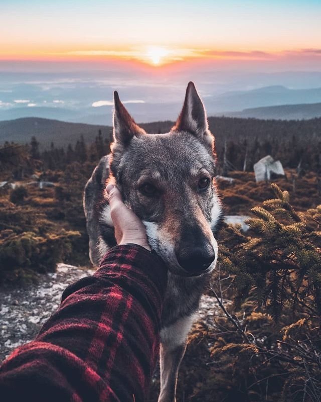 ∆