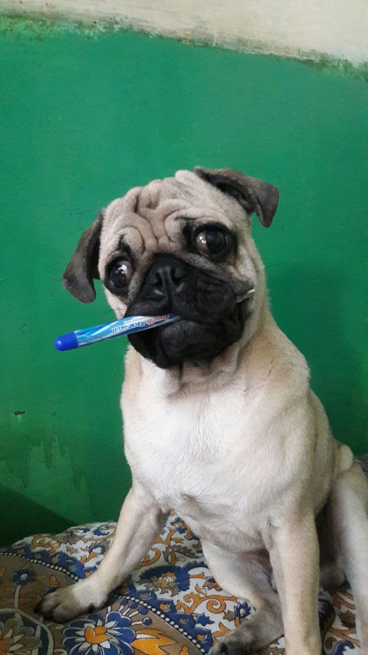 writing time 