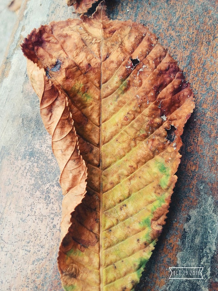 Usure naturelle