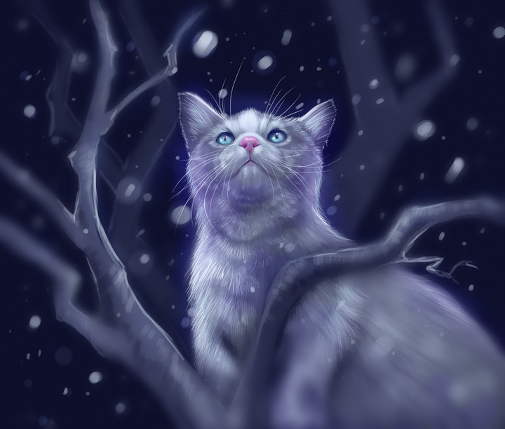 mystic