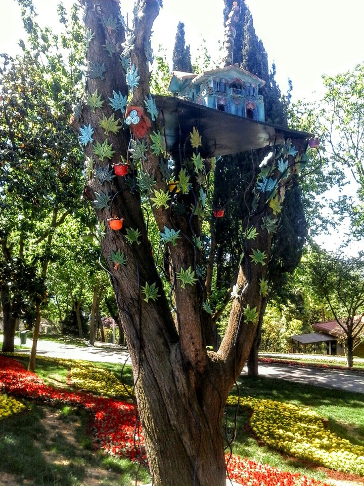 Emirgan İstanbul