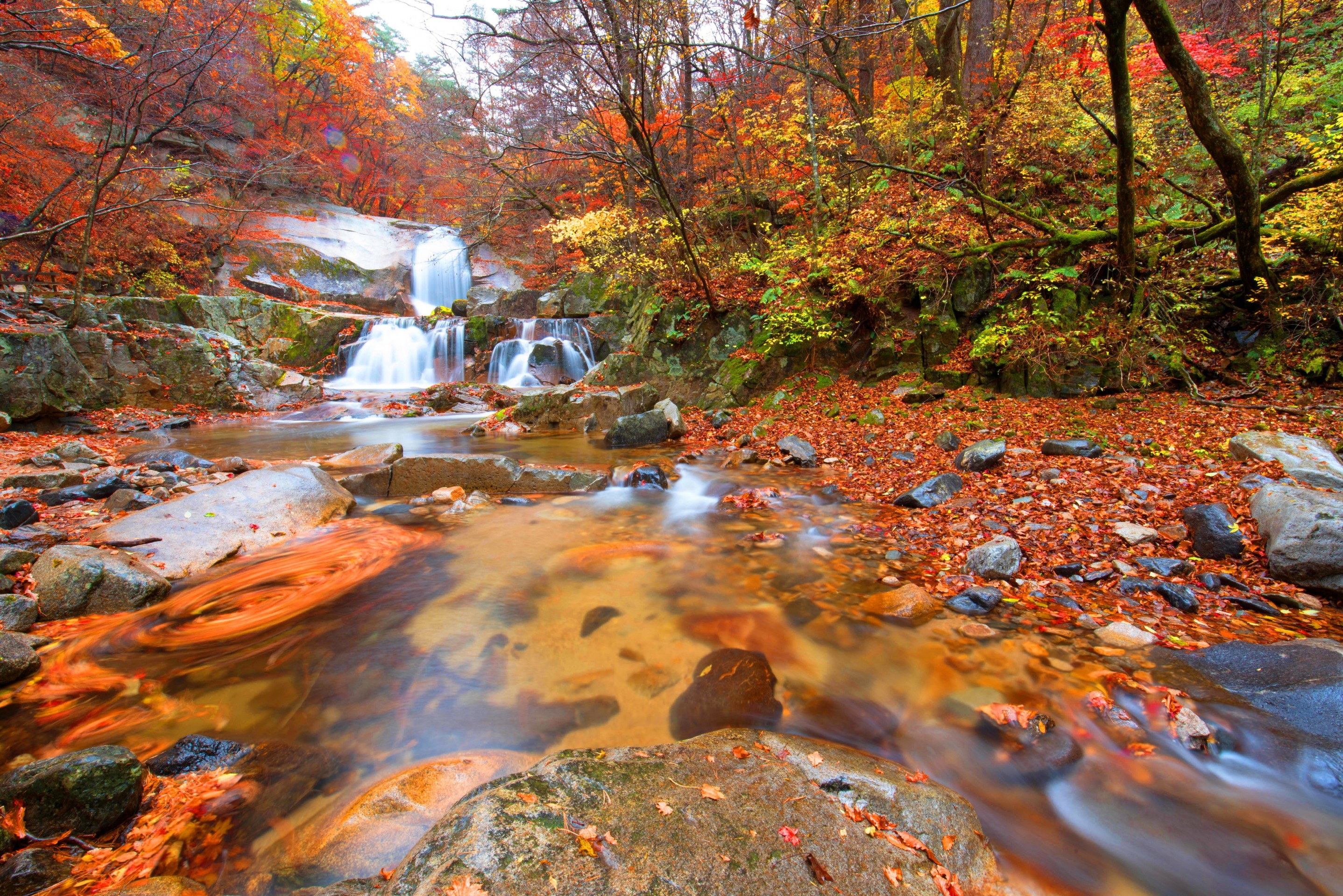 papéis de parede stream, Water