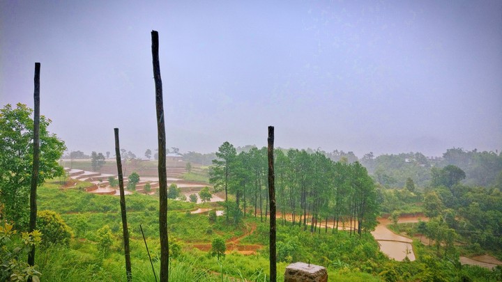 terrace farming