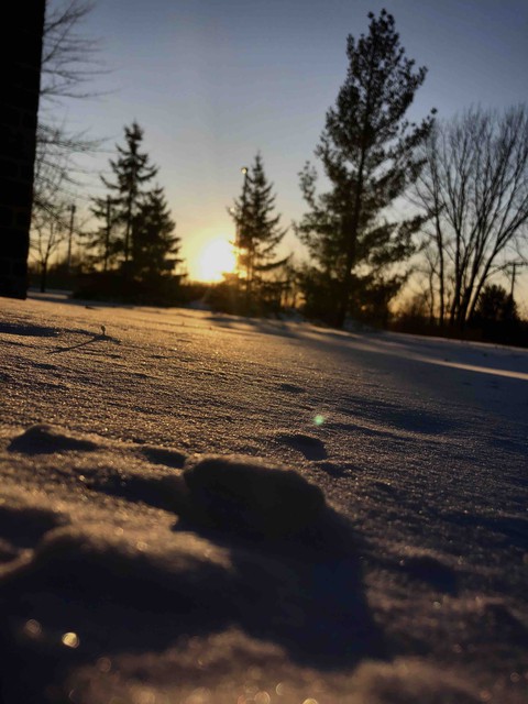 neige