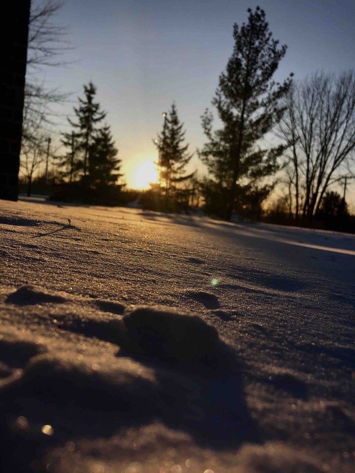 neige