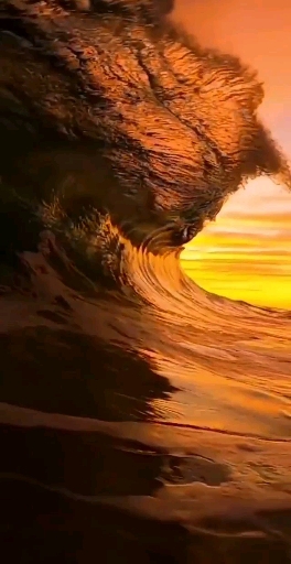 strand Surf