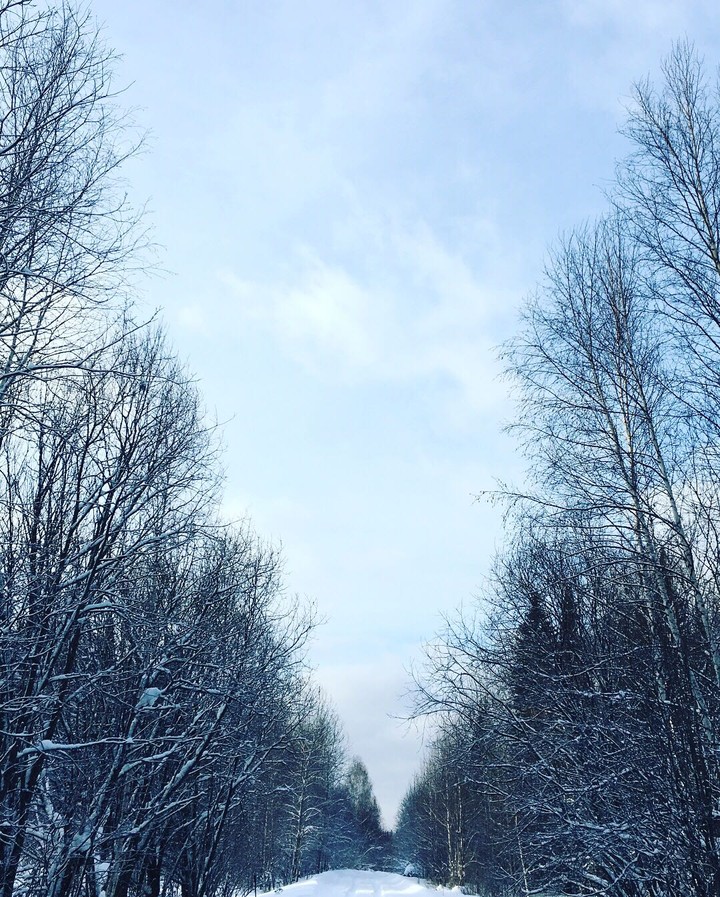 Winter