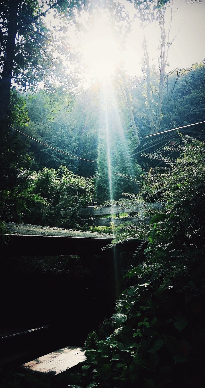 nature
