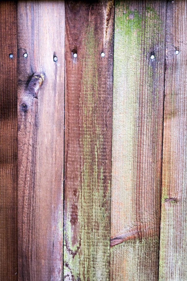 Holz 2