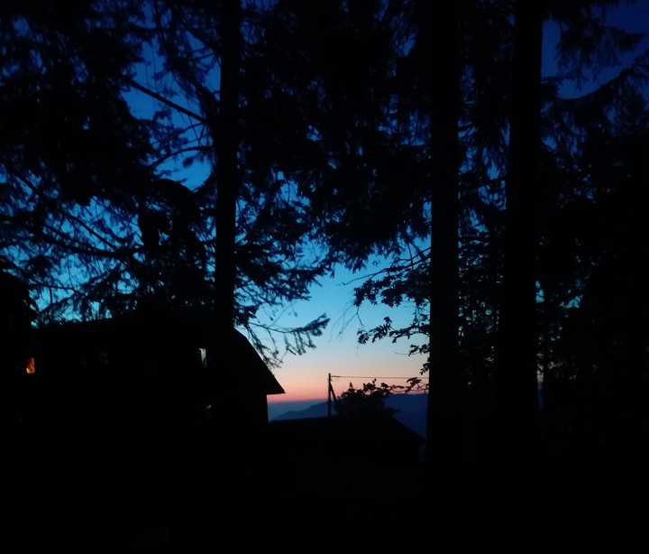 black forest