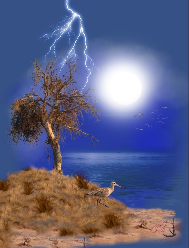 #irada_art  #lightning