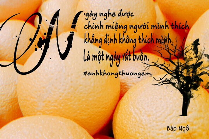 trích dẫn