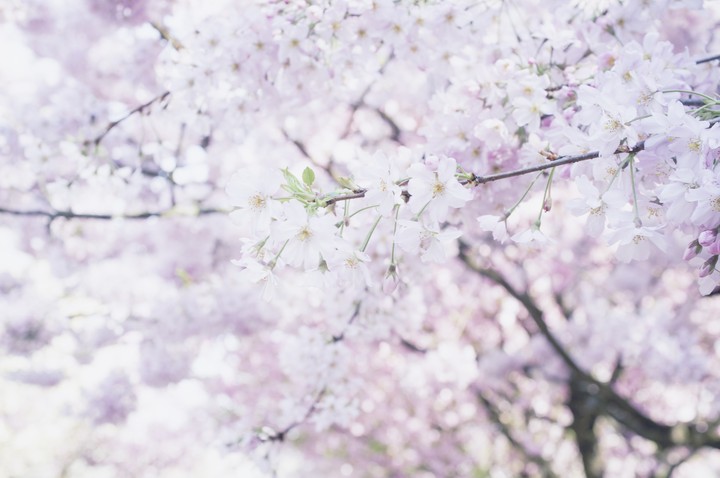 Spring
