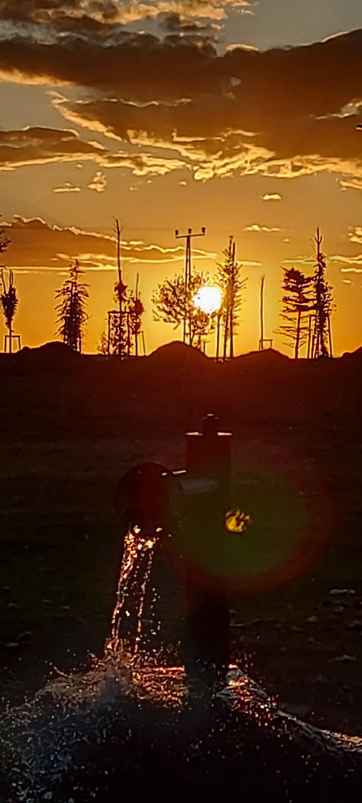sunset
