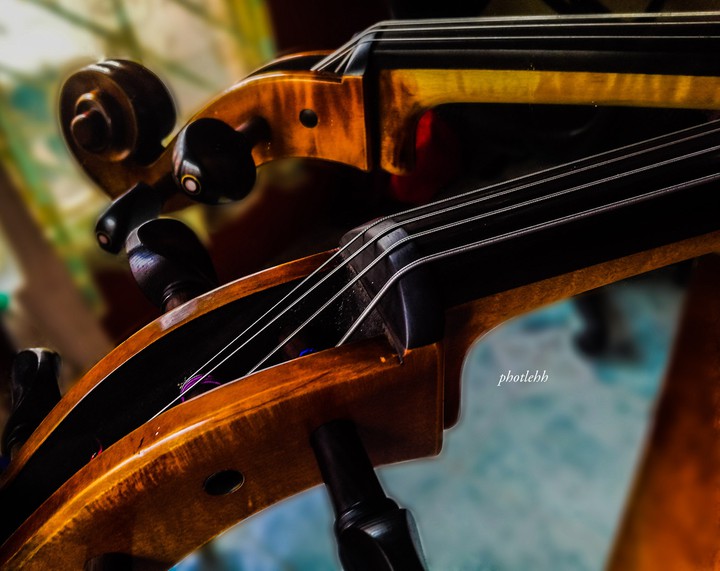 cello