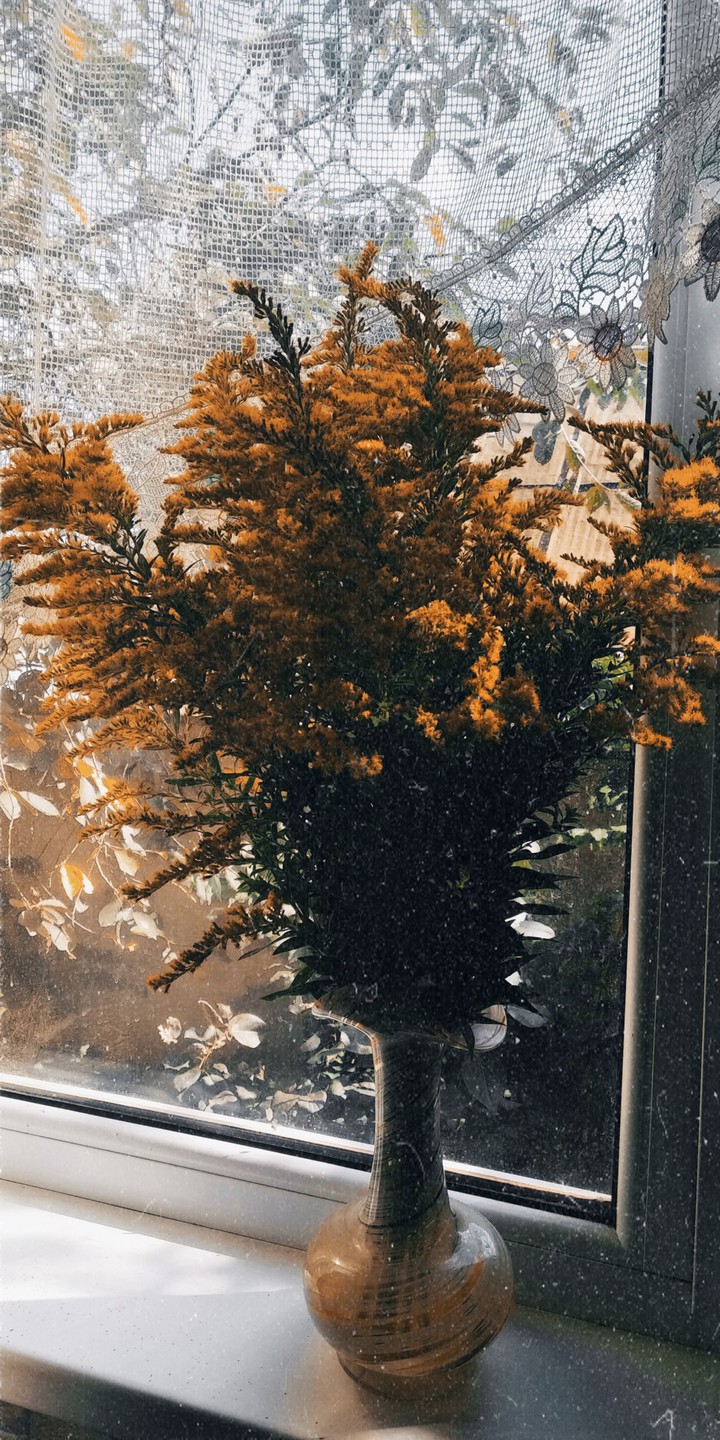 autumn