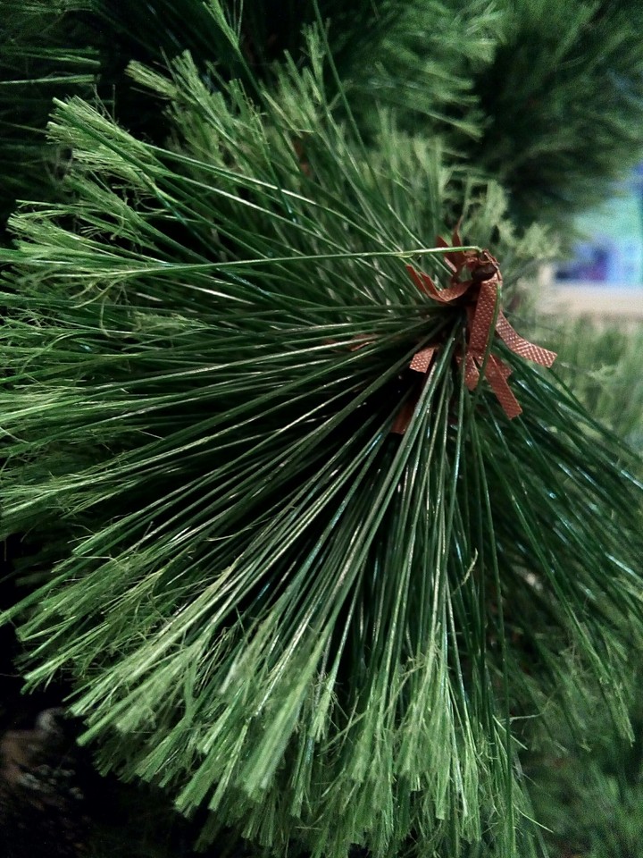 New year tree