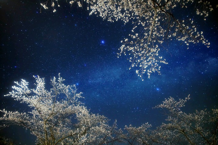 Night...