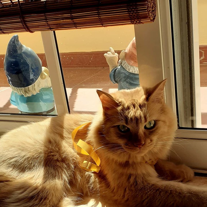 De siesta