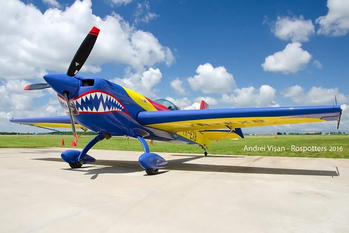 The Angri Extra 300 Bird